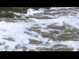 Falls in Flood - Froth 3006